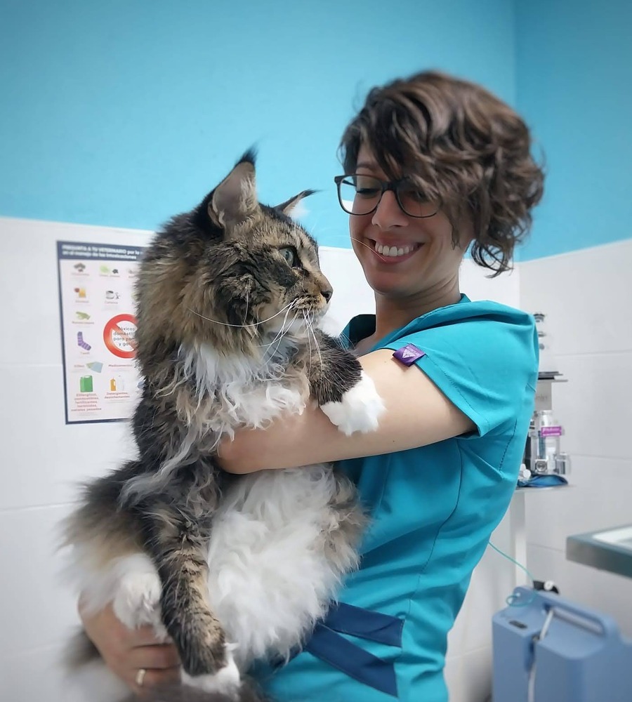 03_veterinaria_gato_900x1000